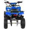 Motax ATV Х-16 Мини-Гризли квадроцикл бензиновый с электростартером и родительским пультом