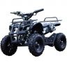 Motax ATV Х-16 Мини-Гризли квадроцикл бензиновый с электростартером и родительским пультом