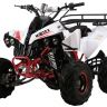 Motax ATV Raptor -7 125 сс квадроцикл бензиновый 